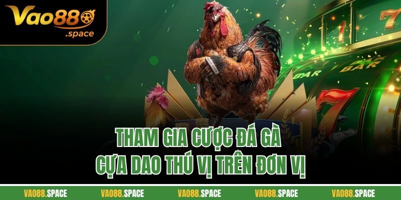 Tham gia cược đá gà cựa dao thú vị trên đơn vị
